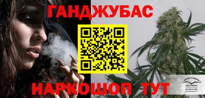 стаф Кунгур