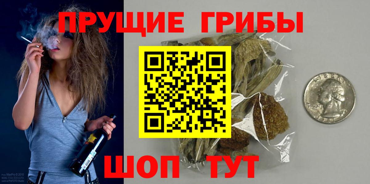 Псилоцибиновые грибы Psilocybe Изобильный